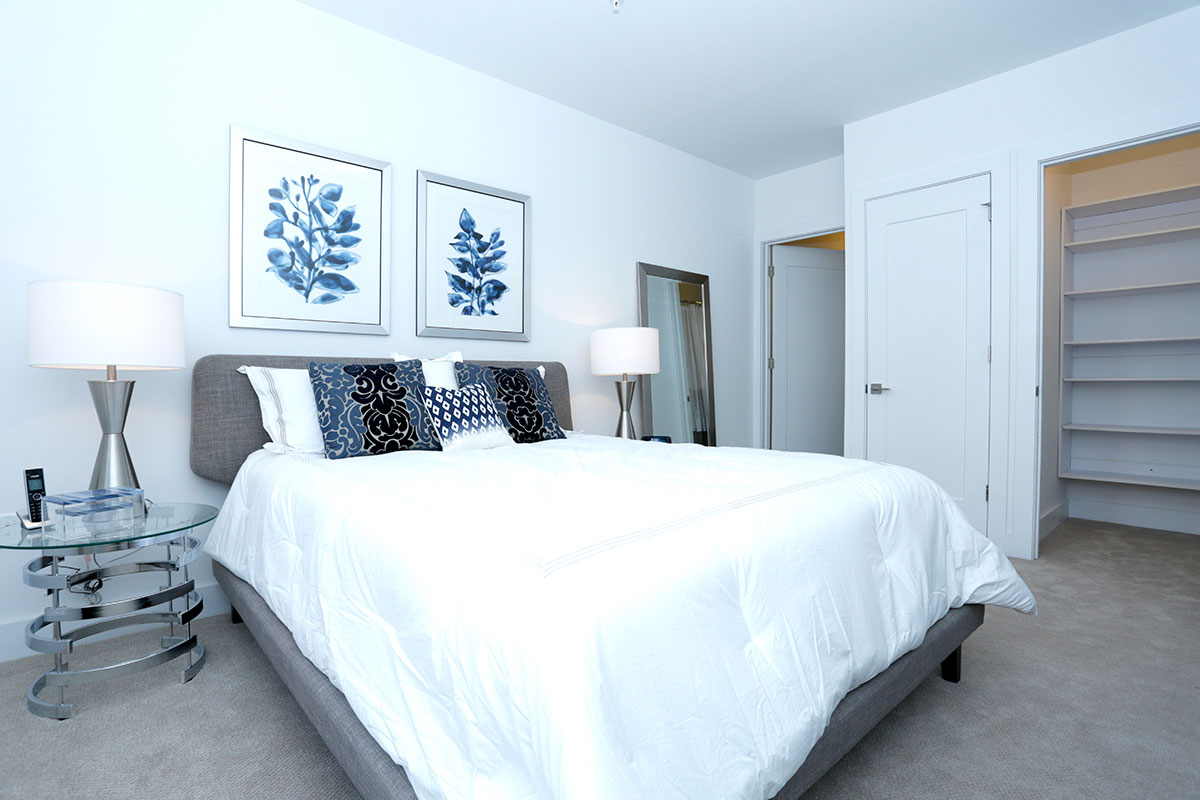 The Cobalt Apartments Luxury apartment building in Downtown